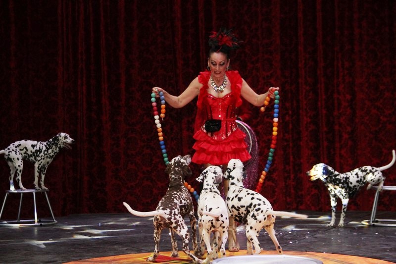 Opening of Dragon Circus